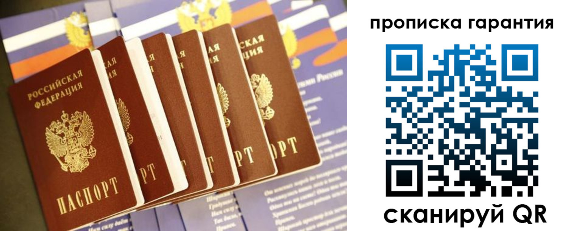 прописка поиск в Шали