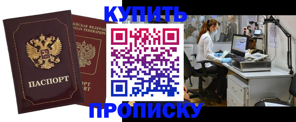прописка гарантия в Шали